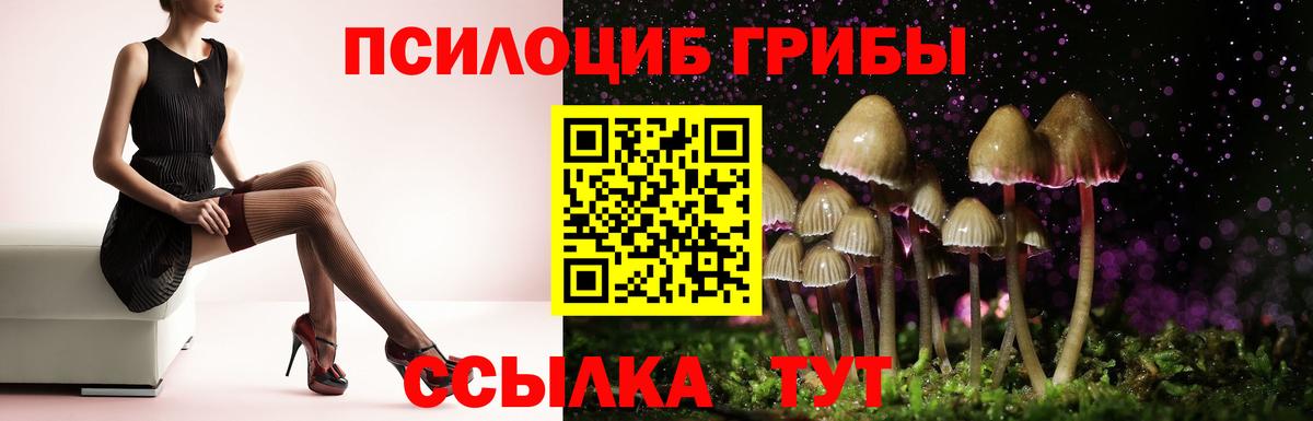 Галлюциногенные грибы мицелий  Вход с VPN  Ливны 
